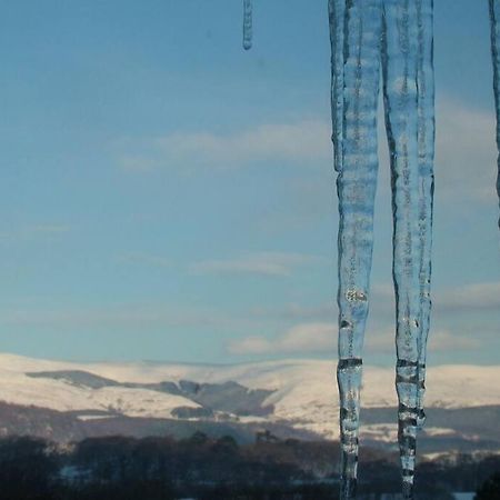 Stunning Views Of Ynyshir & Southern Snowdonia Machynlleth Exteriör bild
