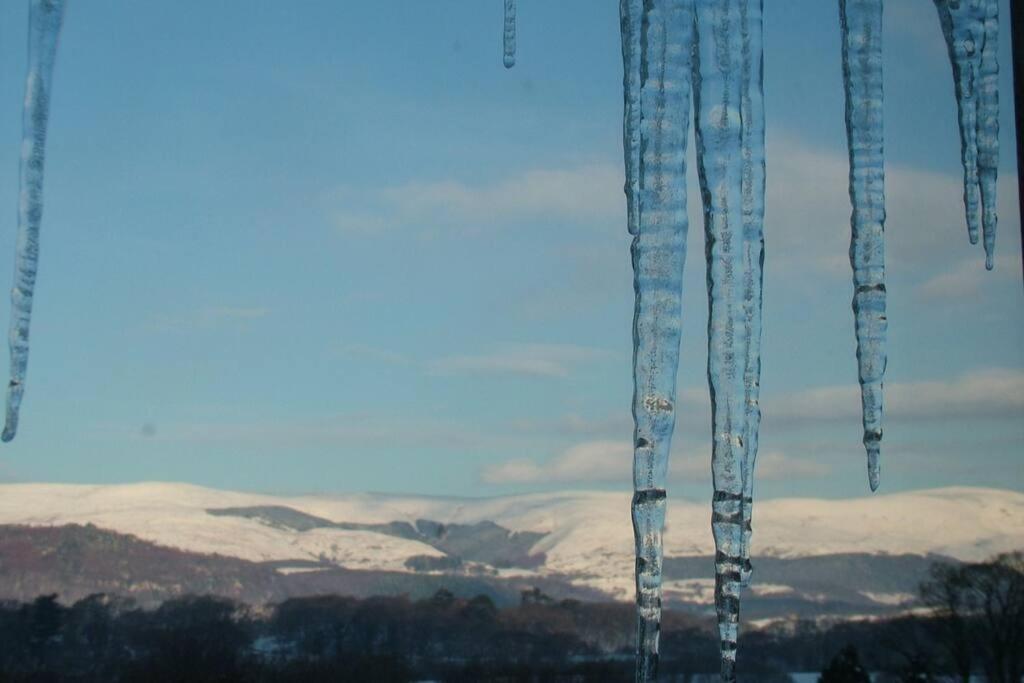 Stunning Views Of Ynyshir & Southern Snowdonia Machynlleth Exteriör bild