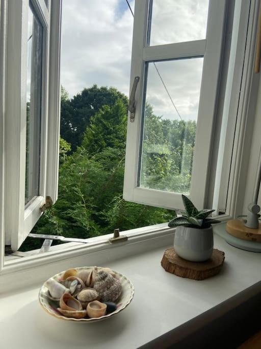 Stunning Views Of Ynyshir & Southern Snowdonia Machynlleth Exteriör bild