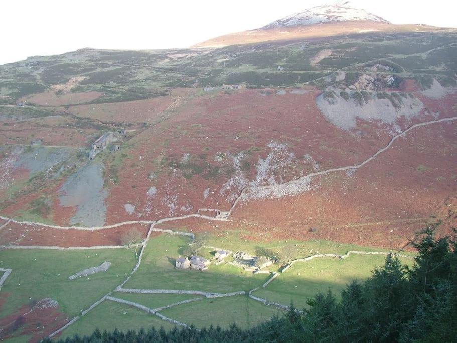 Stunning Views Of Ynyshir & Southern Snowdonia Machynlleth Exteriör bild