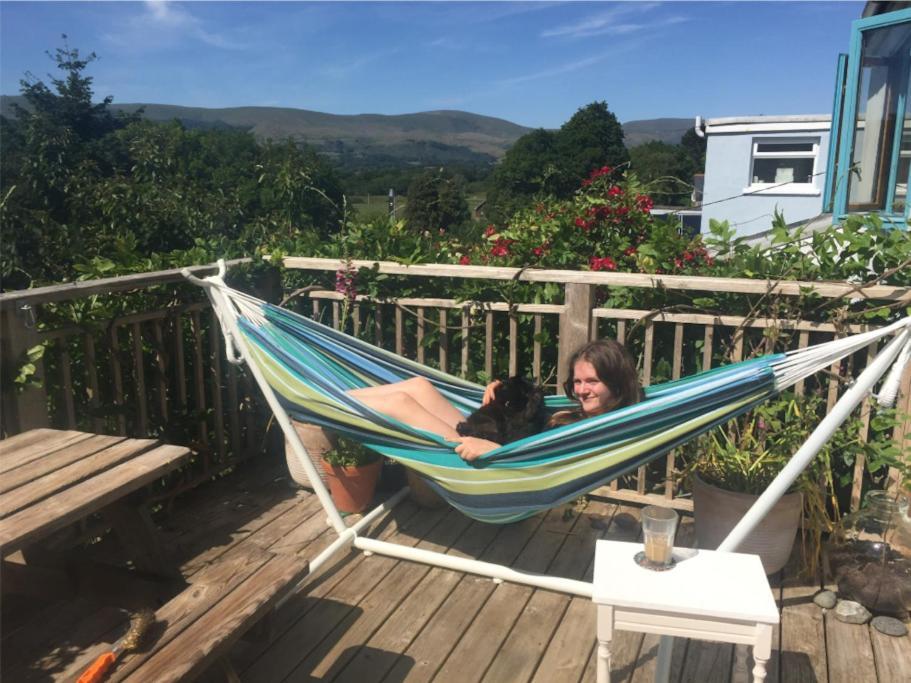 Stunning Views Of Ynyshir & Southern Snowdonia Machynlleth Exteriör bild