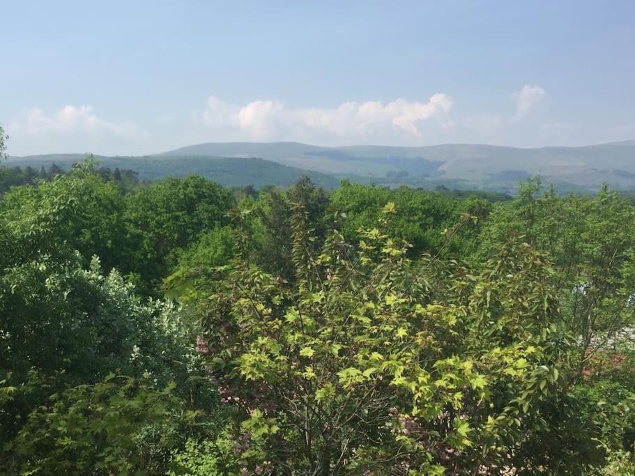Stunning Views Of Ynyshir & Southern Snowdonia Machynlleth Exteriör bild