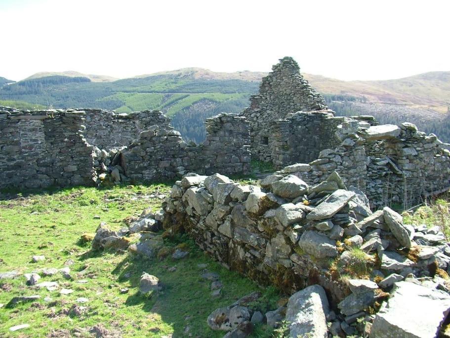 Stunning Views Of Ynyshir & Southern Snowdonia Machynlleth Exteriör bild