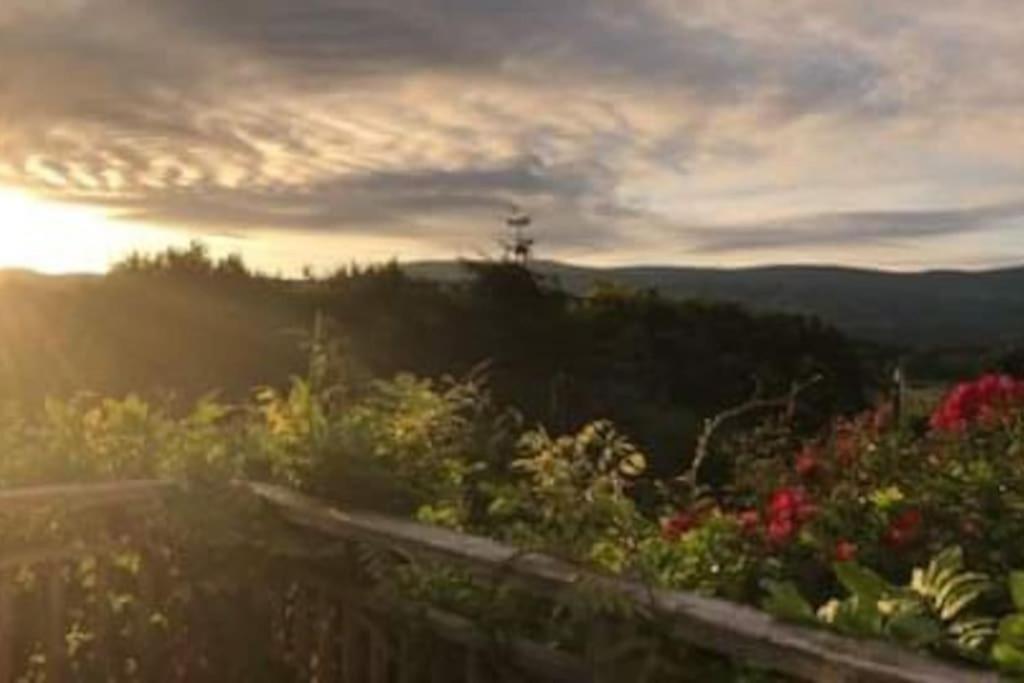 Stunning Views Of Ynyshir & Southern Snowdonia Machynlleth Exteriör bild
